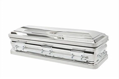 Mirrored Coffin